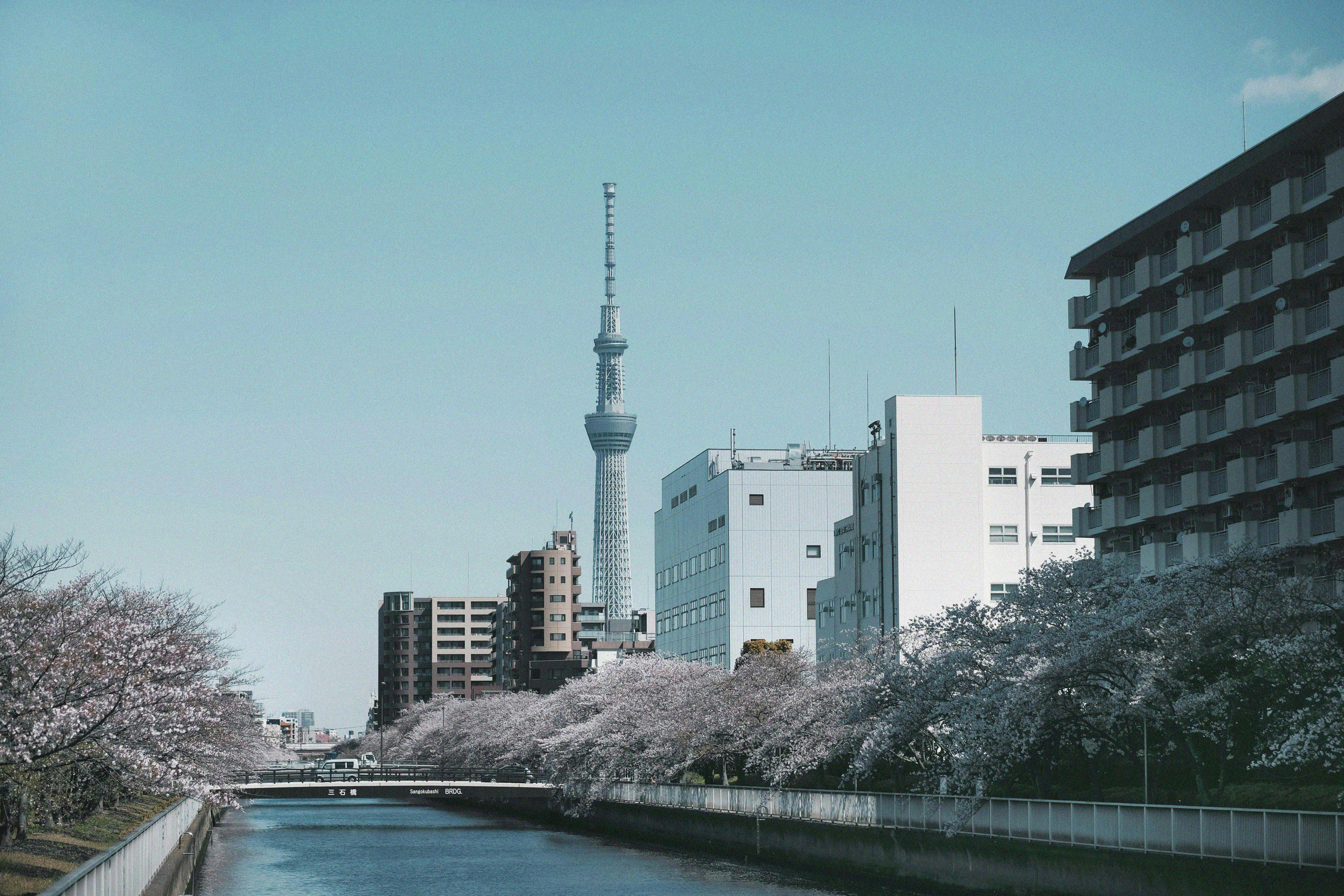 スカイツリー